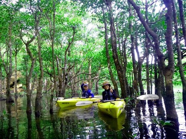 西表島サニーデイ