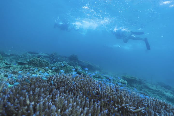恩納村海浜公園ナビービーチ