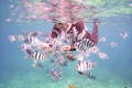 シュノーケルの魅力は、なんといっても手軽さ！沖縄ブセナの美しい海をスイスイと泳ぎませんか？