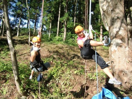 【群馬県みなかみ・木のぼり】地上10m 樹上の世界を体感しよう！木のぼり体験