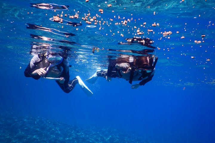 ズミヤーへようこそ！伊良部島の美しい海を遊びましょう！