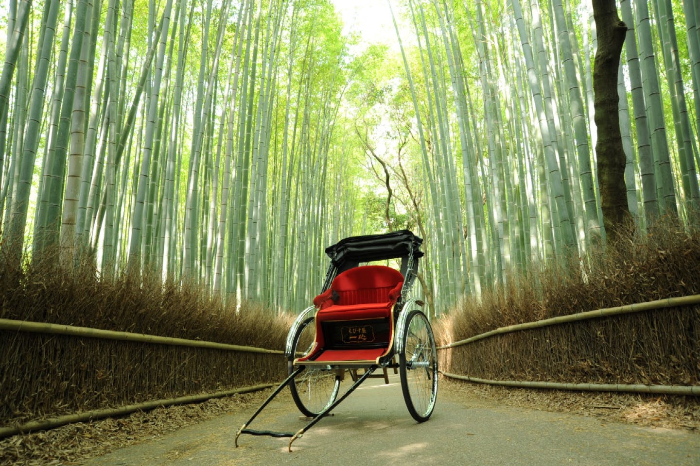 【京都・嵐山・人力車・30分貸切】人力車で風情を感じるひと時。いつもとは違った京都観光を