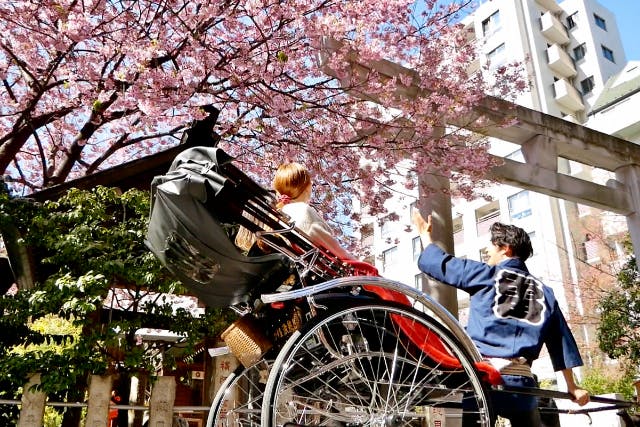 【東京・浅草・人力車・30分貸切】言わずと知れた江戸の名所へ。人力車で浅草の街を巡るプラン