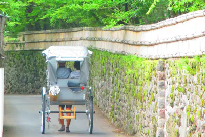 大分 由布院 人力車 1分貸切 のどかさを味わう人力車の旅 天然記念物も見られる1分コース アソビュー