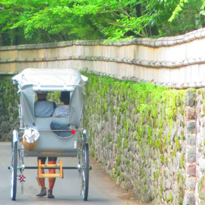 大分 由布院 人力車 1分貸切 のどかさを味わう人力車の旅 天然記念物も見られる1分コース アソビュー 大分 由布院 人力車 1分貸切 のどかさを味わう人力車の旅 天然記念物も見られる1分コース アソビュー