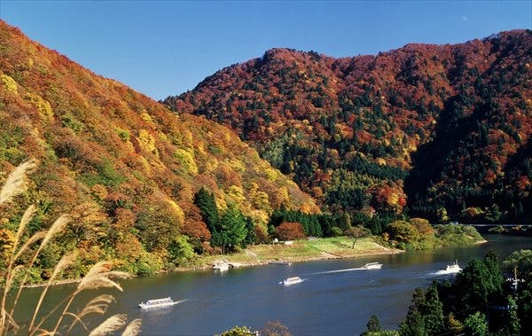 最上川 芭蕉ライン舟下りでは、山形県を流れる最上川で四季を感じる川下りを体験できます。