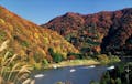最上川 芭蕉ライン舟下りでは、山形県を流れる最上川で四季を感じる川下りを体験できます。