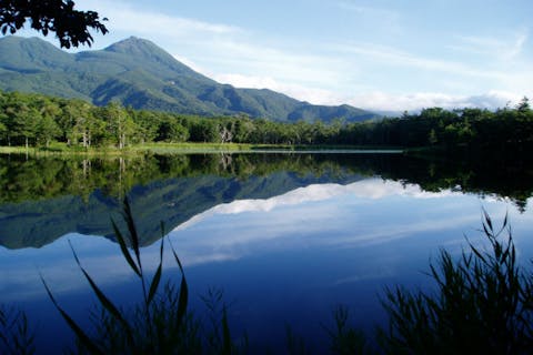 【北海道・知床・エコツアー】知床五湖と海岸原生林をめぐる！1日ゆったり自然探訪