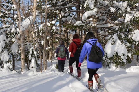 【北海道・知床・エコツアー】冬の知床五湖ツアー～ガイドツアー限定！見渡す限り銀色の世界へ～