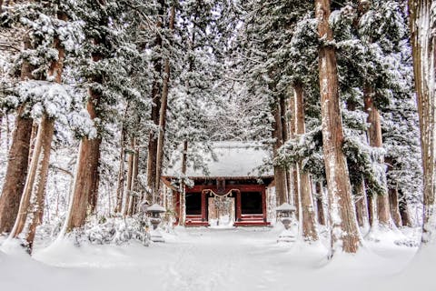 【長野・スノーシュー】戸隠奥社の森を歩こう！初心者におすすめの1日コース