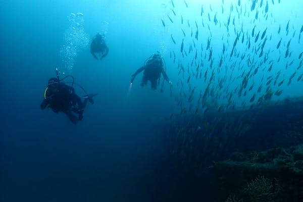 静岡・熱海・ファンダイビング】レンタル料金無料プラン（2ボート・6