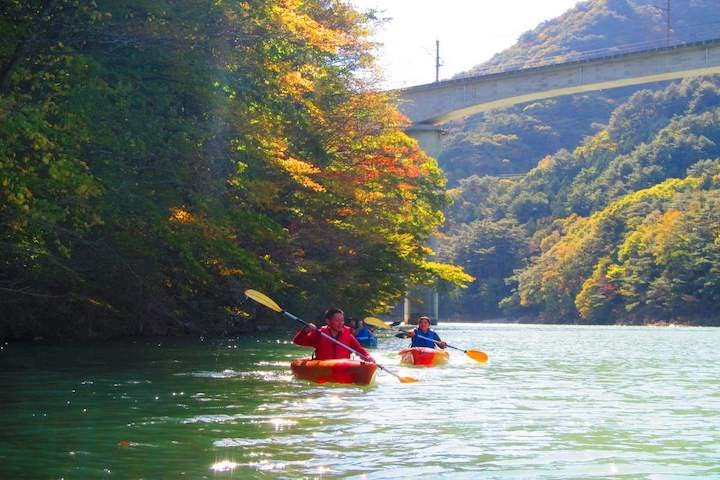 ネイチャープラネット