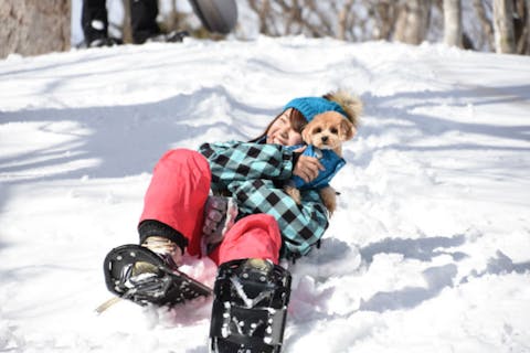 【那須高原・スノーシュー】ワンちゃんも一緒に銀世界を！息を飲むまぶしさの雪原をスノーシューで体感しよう！