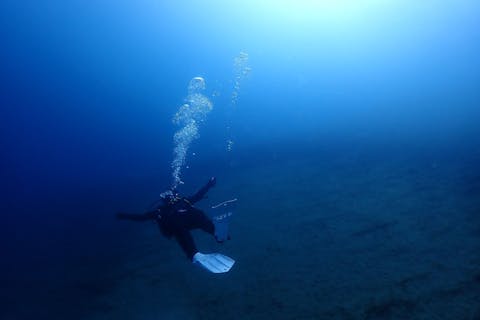 【ファンダイビング】支笏湖ファンダイビング ・1名様より催行。午前2DIVE（午後から参加2DIVEも可能）世界有数の透明度「支笏湖ブルー」を潜ろう！