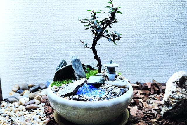 【新宿・はじめての(装飾石)盆栽】自然素材で飾る☆盆栽づくり！ 当店人気プラン♪