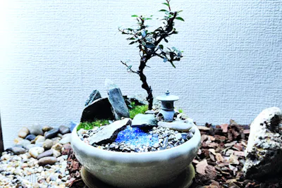 新潟産梅花石蹲 庭石 鑑賞石 置物 オブジェ インテリア 水槽 蹲 盆栽 新宿・はじめての(装飾石)盆栽】自然素材で飾る☆盆栽づくり！ 当店