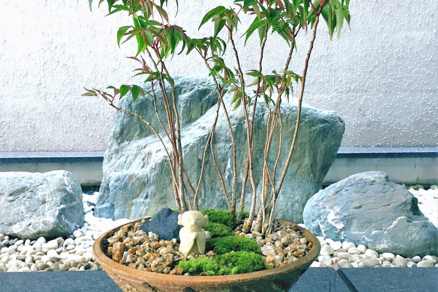 【新宿・盆栽】はじめての苔盆栽！駅から徒歩2分、癒しの｢苔庭園｣づくり体験