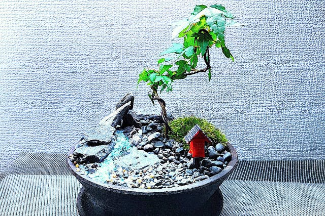【新宿・はじめての(装飾石)盆栽】自然素材で飾る☆盆栽づくり