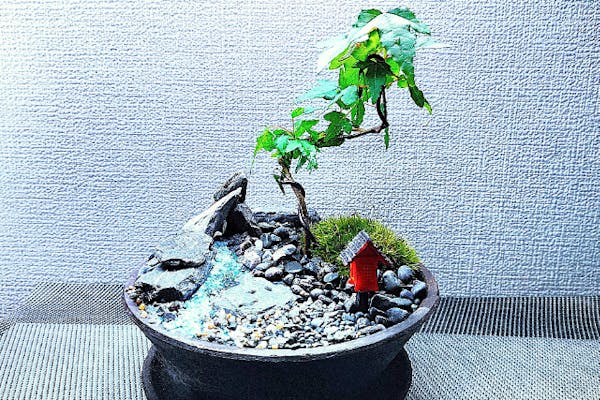 新宿・はじめての(装飾石)盆栽】自然素材で飾る☆盆栽づくり！ 当店