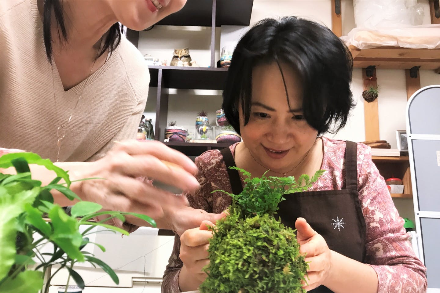 【限定企画】苔の魅力を発見☆苔玉＆苔テラリウム(セット)創作プラン