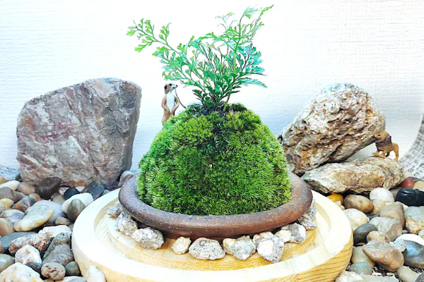新宿・苔で彩る空間】ガラスドームで飾る☆お洒落苔玉(創作体験