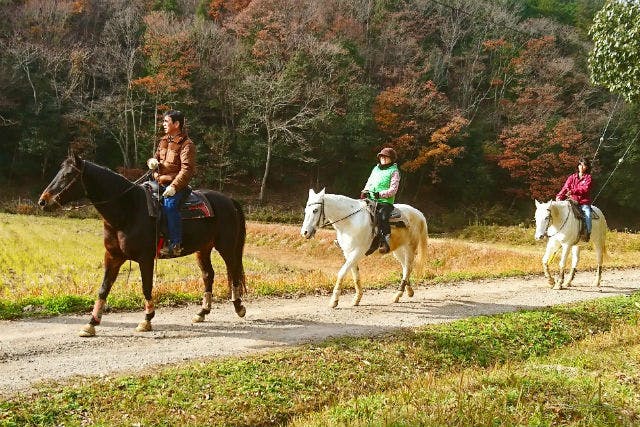 【兵庫・乗馬体験・外乗】大阪から車で60分！初心者でも安心♪自然公園内を馬で散歩（60分）