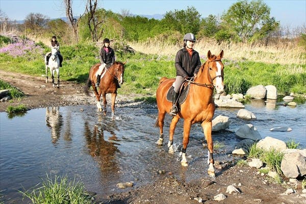 【経験者向け・ビジター外乗】赤城の景色を楽しむ☆馬と大自然を散歩しよう！