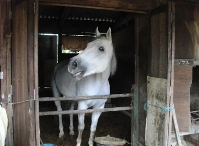 三国ウェスト農場 ネット予約ならアソビュー