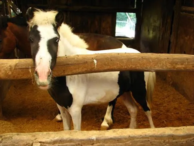 三国ウェスト農場 ネット予約ならアソビュー