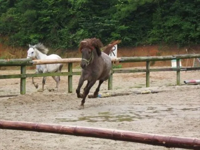 三国ウェスト農場 ネット予約ならアソビュー