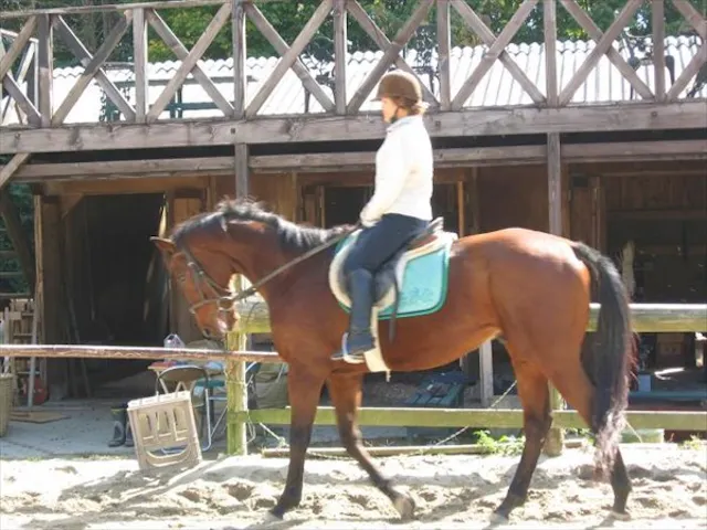 三国ウェスト農場 ネット予約ならアソビュー