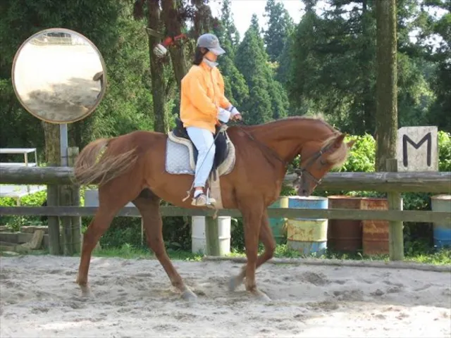 三国ウェスト農場 ネット予約ならアソビュー