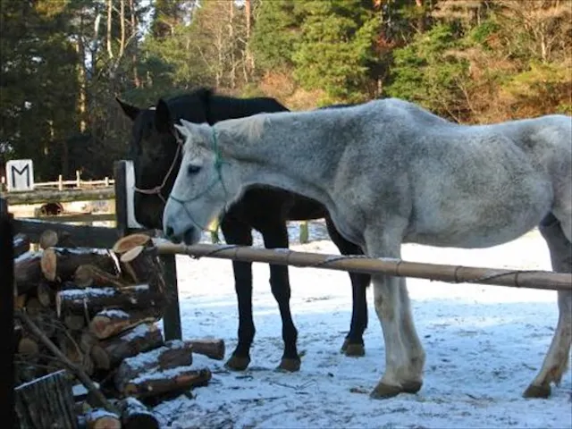 三国ウェスト農場 ネット予約ならアソビュー