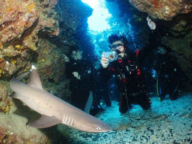 30 割引 ジョイクリエイト沖縄ティーダ ネット予約ならアソビュー