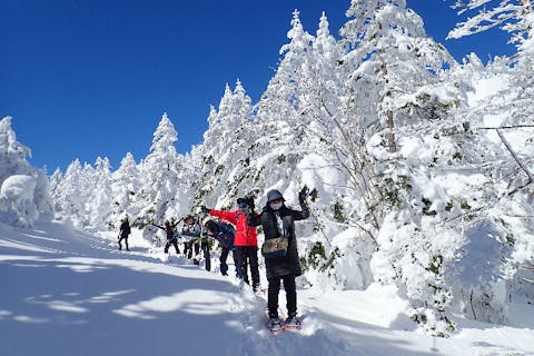 【長野・スノーシュー】３大アルプスのパノラマ！北八ヶ岳の銀世界を散歩しよう！