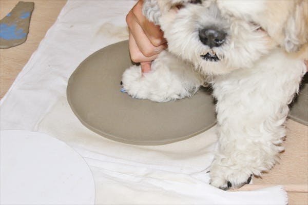 【ペットと陶芸】ペットといっしょにお皿づくり！