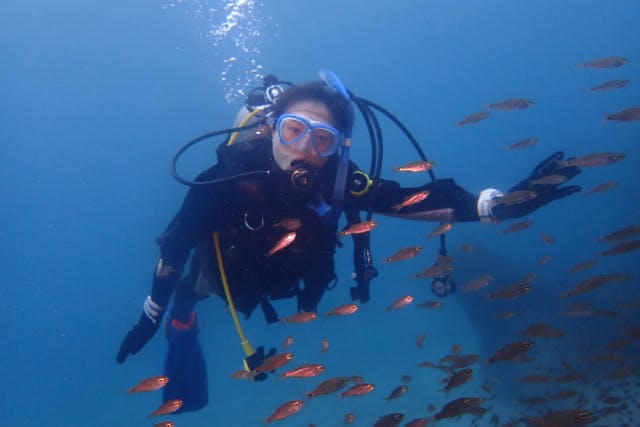 【新宿】オープンウォーターライセンス・最短３日・日帰り受講可能（海洋講習伊豆・アソビュー！年末限定価格）