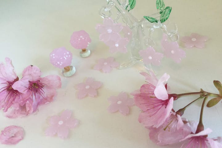 伊豆アート体験 さくら坂 ネット予約ならアソビュー 伊豆アート体験 さくら坂 ネット予約ならアソビュー