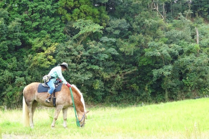 湯の山乗馬クラブ ネット予約ならアソビュー