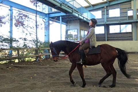 【三重・馬場内乗馬・25分以内】屋内練習場で快適！初めての方も楽しめます
