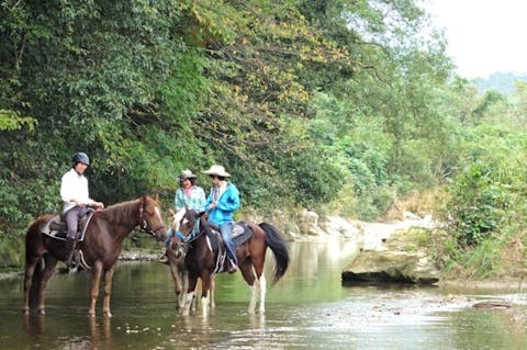 【外乗・約1時間】自然の中を歩こう。心身がリフレッシュするホーストレッキング