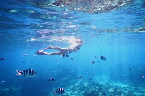 【那覇発・ケラマ諸島半日・ボートシュノーケリング＋絶景パラセーリング】★船酔いが心配な方にオススメの揺れに強い大型船★4KカメラGoPro撮影＆ドリンク無料★