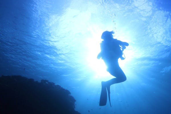 沖縄 ８歳から体験ダイビング 満足度no1 青の洞窟 ｸﾏﾉﾐの満喫２本ダイビング アソビュー
