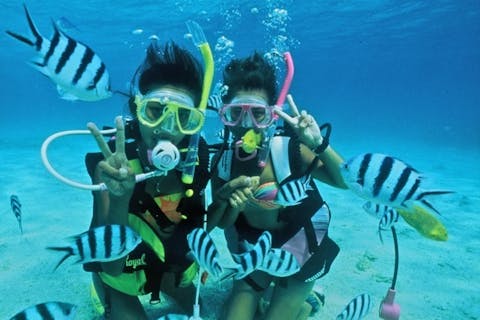 【パラセーリング＆体験ダイビング】空も海も欲張りに楽しみたい方に！