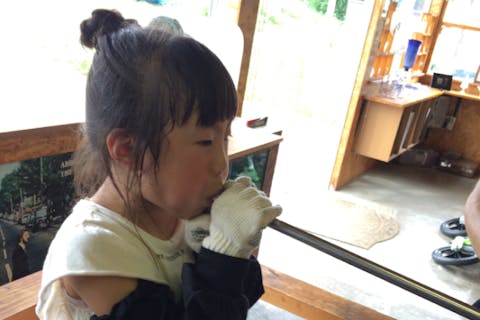 北海道・札幌駅より30分・吹きガラス（30分・グラス・小鉢など）