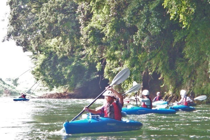 ストームフィールドガイド