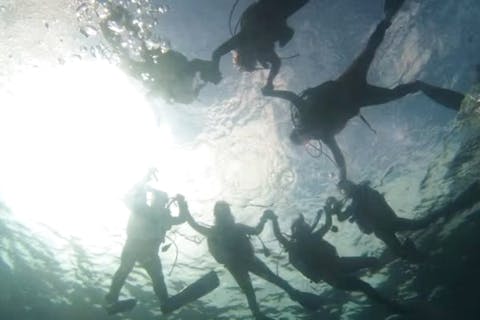 【愛知発・ライセンス取得】※先着50名※ 早割プラン！オープンウォーター講習（レンタル器材無料！）