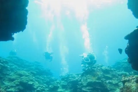 【大阪発・ライセンス取得】※先着50名※ 早割プラン！オープンウォーター講習（レンタル器材無料！）