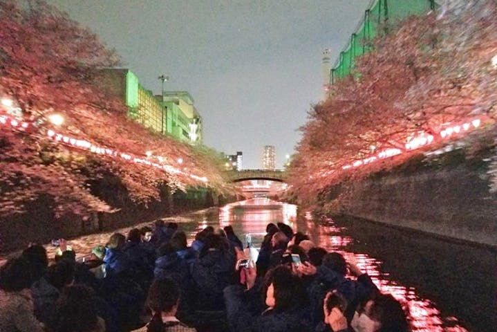 東京 目黒川 クルージング 満開の桜を船上から楽しもう 目黒川花見クルーズ アソビュー