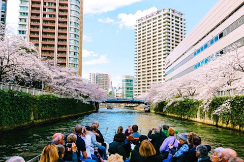 【乗合・東京・目黒川お花見クルーズ】満開の桜を船上から楽しもう！＜天王洲アイル駅から徒歩4分＞
